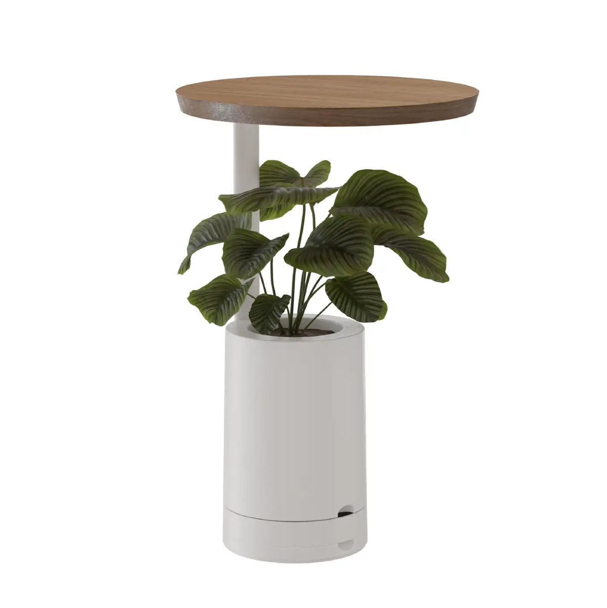 Mesa de Apoio com Vaso para Planta Elements Amiata